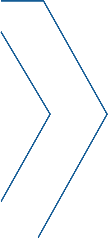 Vector 4