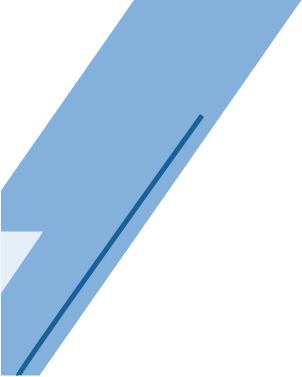 vectro line